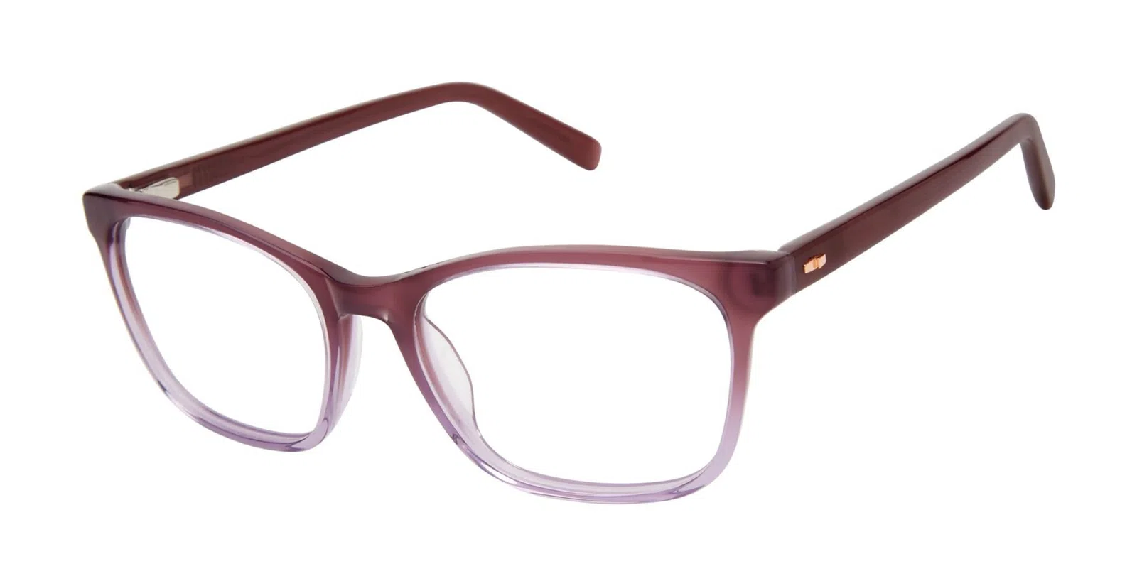 Ted Baker TWBIO003 Eyeglasses